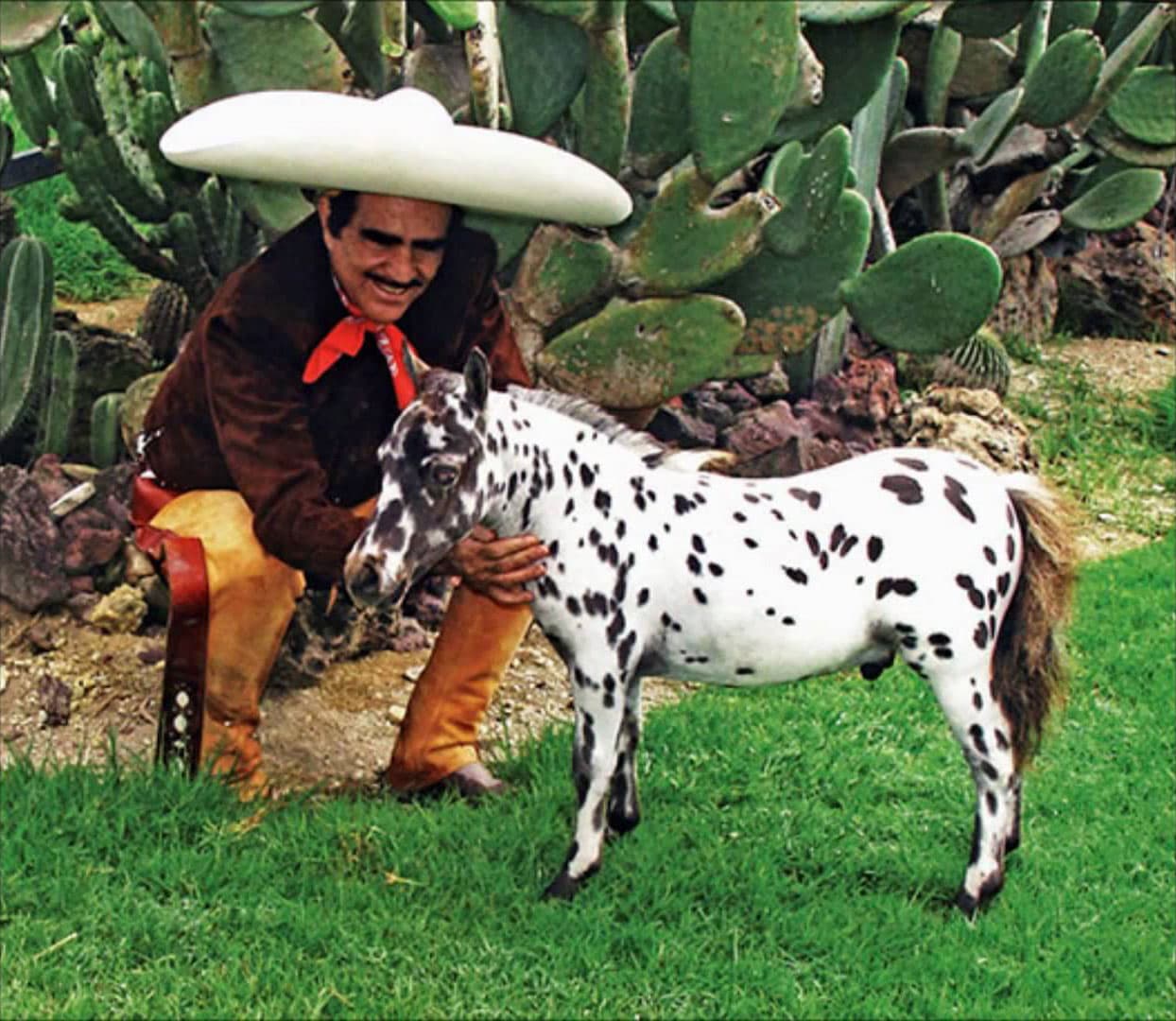 En su rancho,
<b>‘Los Tres Potrillos'</b>, el cantante tiene varios de ellos y se han convertido en una de sus mascotas favoritas.