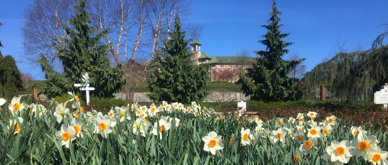 <b><a href="https://www.hersheygardens.org/">Hershey Gardens (Hershey)</a></b>: Ubicado en 23 acres, puedes disfrutar de espectaculares exhibiciones de temporada, jardines temáticos y más de 7,000 impresionantes rosas en Hershey Gardens. A la familia le encantará la popular Casa de las Mariposas y el Jardín de los Niños que se llenan de sorpresas a cada paso.