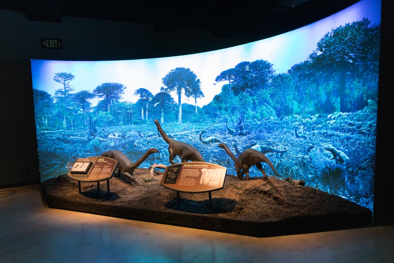 Los dientes de estos dinosaurios no eran fuertes, así que en vez de masticar, utilizaban piedras en el estómago para triturar los alimentos.