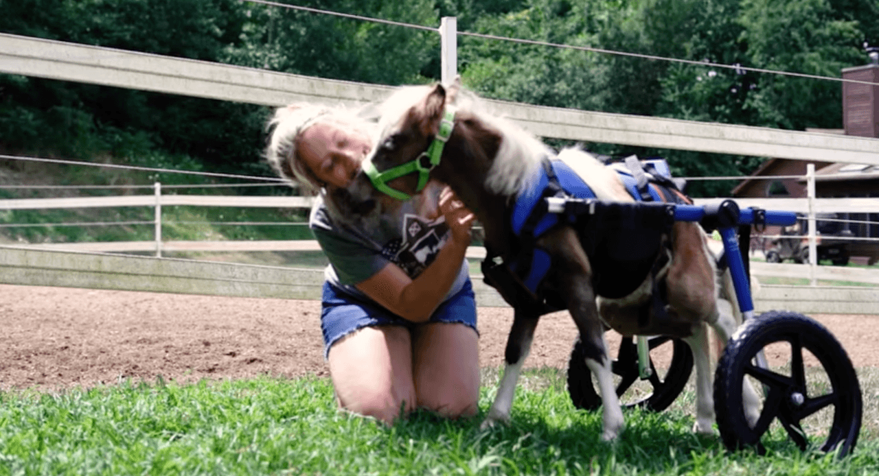 Pereira accedió a ayudar a Turbo, y compartió su historia en las redes sociales.