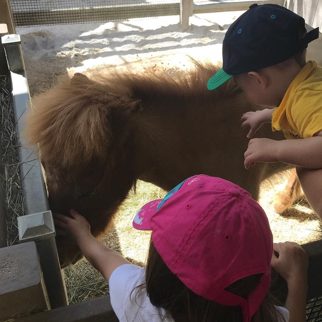 Están viviendo juntos extraordinarias aventuras, como esta vez en la que visitaron una granja para jugar y conocer a los animales.