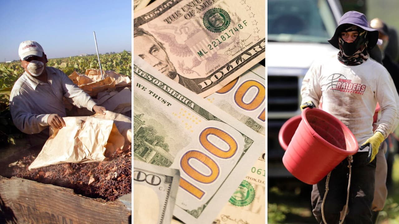 Si eres elegible para el pago único de $600 para trabajadores en California del Programa de Alivio Económico para Trabajadores Agrícolas y de Alimentos, la UFW pide dos
<b>documentos para realizar la solicitud</b>.
<a href="https://www.univision.com/local/fresno-kftv/esto-debes-saber-aplicacion-pago-unico-alivio-600-trabajadores-california-fundacion-ufw">Aquí te contamos</a>.