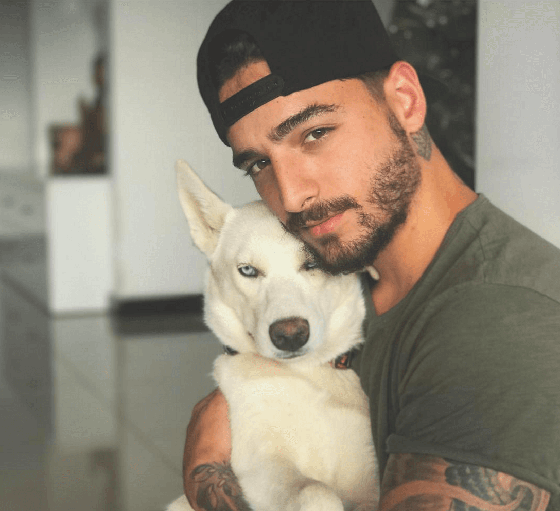 Maluma tiene dos hermosos perros blancos llamados Bonnie y Clyde.