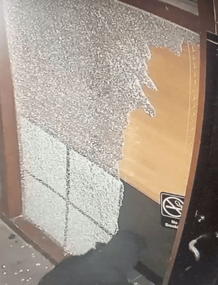 El equipo de Bollo Woodfired Pizza publicó las imágenes con la esperanza de atrapar a los que están detrás del crimen.
<br>