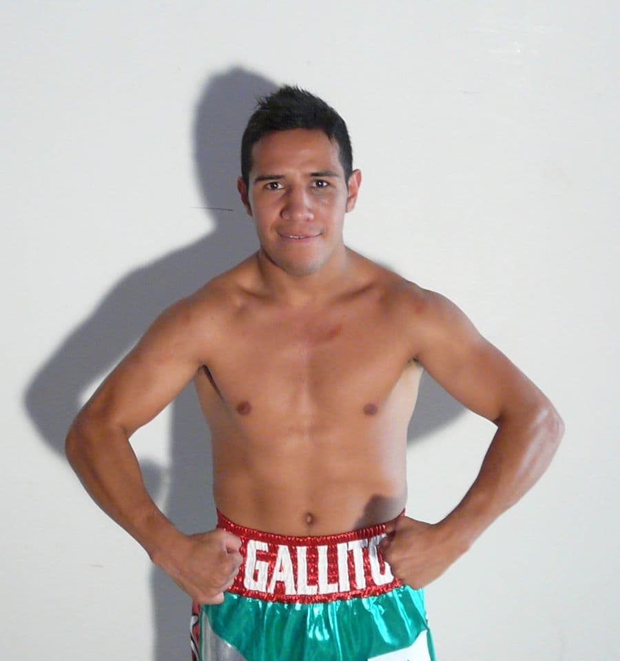Luis "Gallito" Ceja quiere emular a su hermano Julio "Pollito" Ceja
