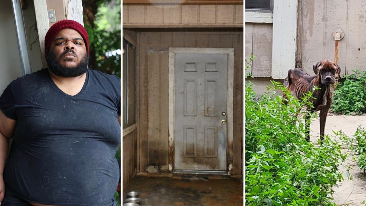 Cinco perritos son rescatados en pésimas condiciones de una casa en el Condado Bexar; arrestan al dueño