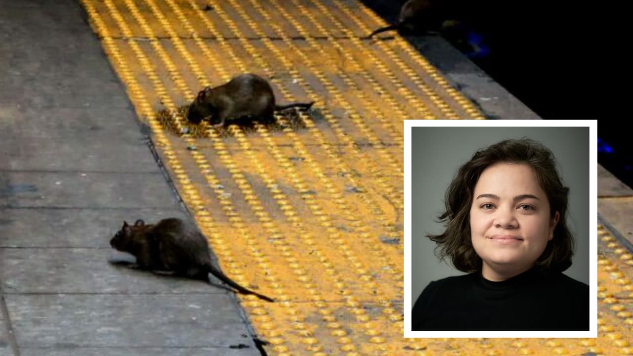 Nueva York presenta a su nueva ‘zar antirratas’ y promete combatir la plaga de roedores