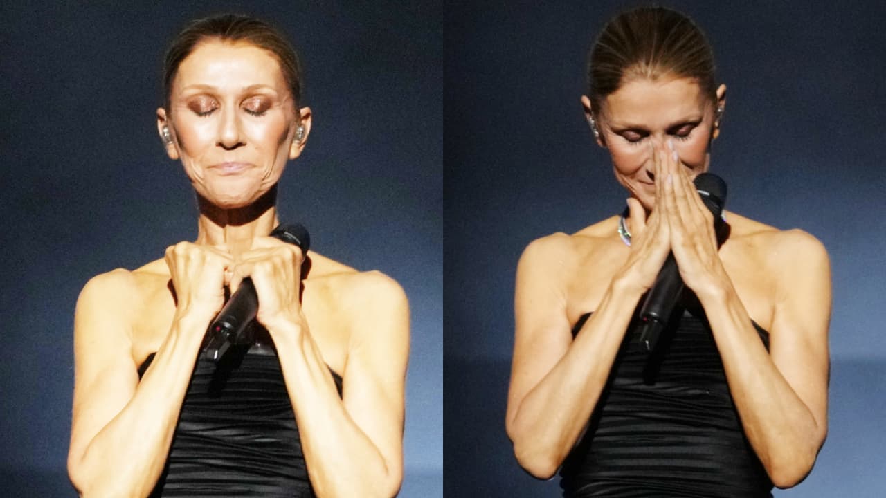 Céline Dion regresa con una serie de 26 conciertos en Francia.