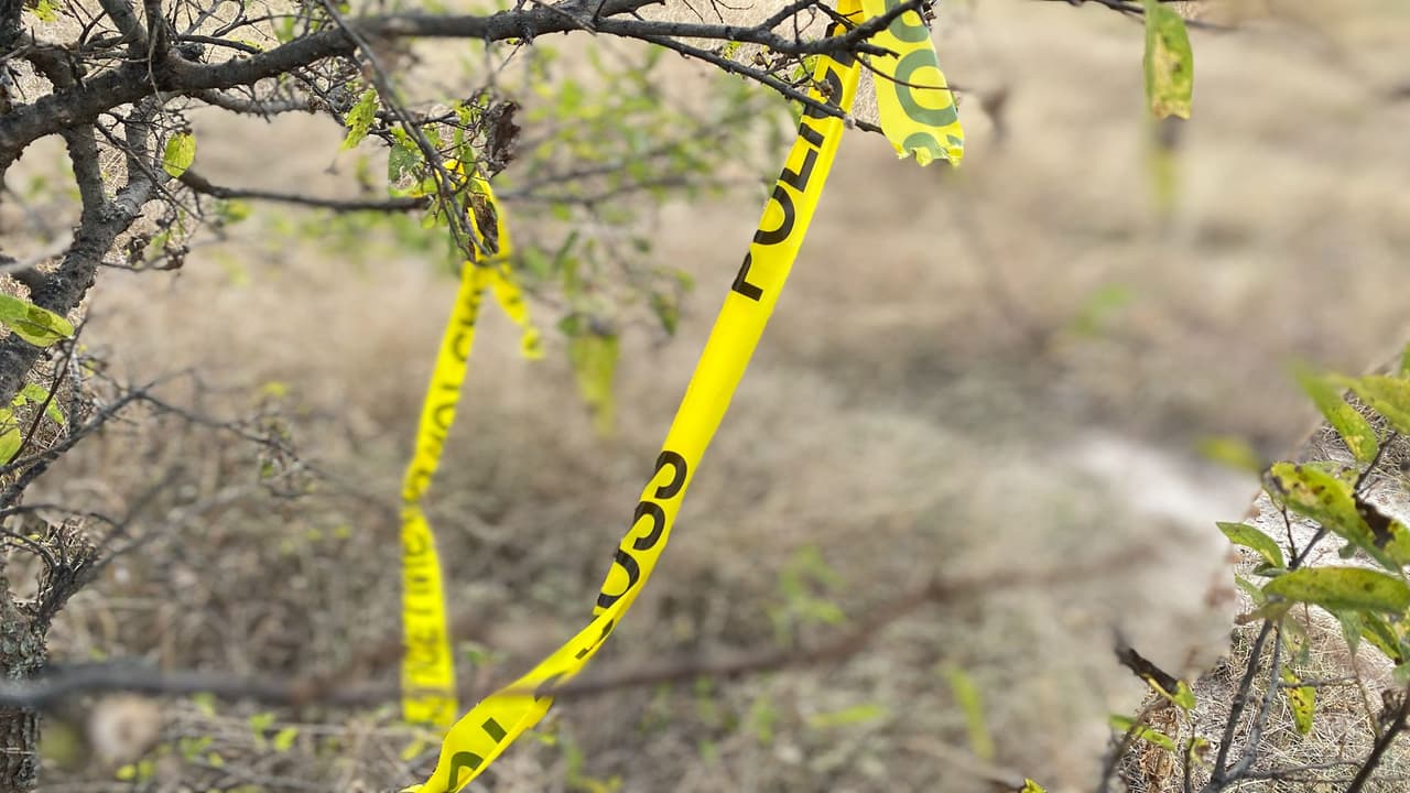 Por su parte, la policía de Fort Worth dijo el martes que obtuvieron videos de vigilancia cerca del lugar del incendio en donde se veía a la persona que creían arrojó los cuerpos al contenedor de basura. El hombre conducía un Jeep Grand Cherokee 2005-2010 con rines y acentos cromados que descubrieron era propiedad de Thornburg.
<br>