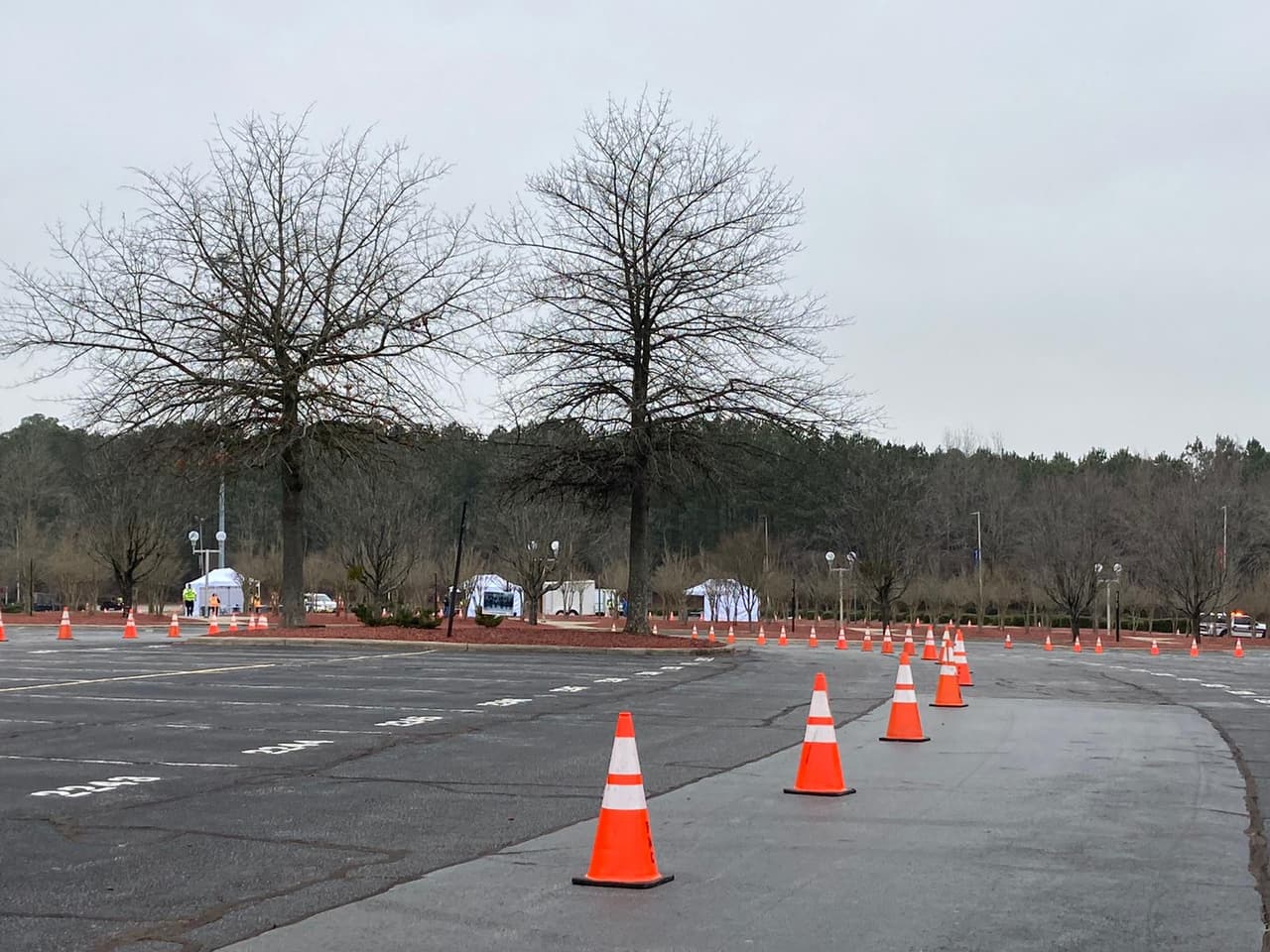 Unas 130,000 dosis han sido administradas en el condado de Wake.
<a href="https://www.univision.com/local/north-carolina-wuvc/vacuna-covid-19-condado-de-wake-donde-y-cuando">Dónde y cuándo puedes ponerte la vacuna contra el coronavirus en el condado de Wake.</a>