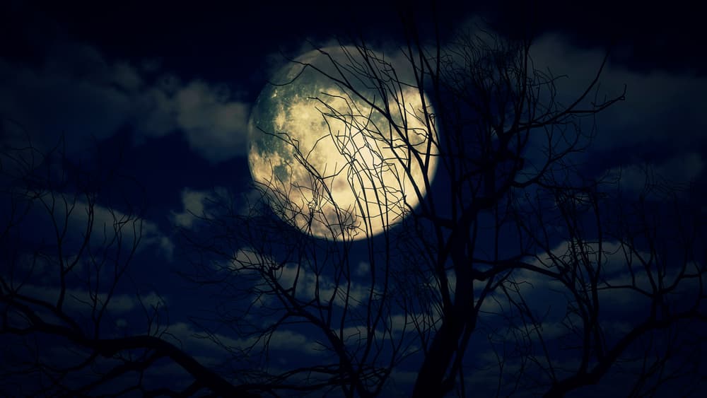 Se tratará de un fin de semana donde todo puede suceder y el efluvio de la Luna creará un aura potente en cada uno de nosotros.