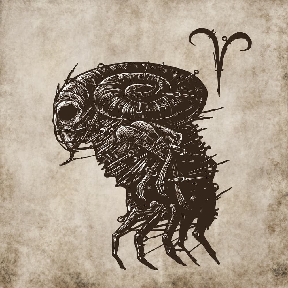 <b>ARIES</b>
<br>Tienes una personalidad explosiva, vital, demandante, que a veces puede ser demasiado exigente y terrible, por lo que no quieres a nadie que te haga enojar. Si eso pasa, que se preparen para que saques el monstruo que llevas dentro. Si te buscan, ¡te encuentran!