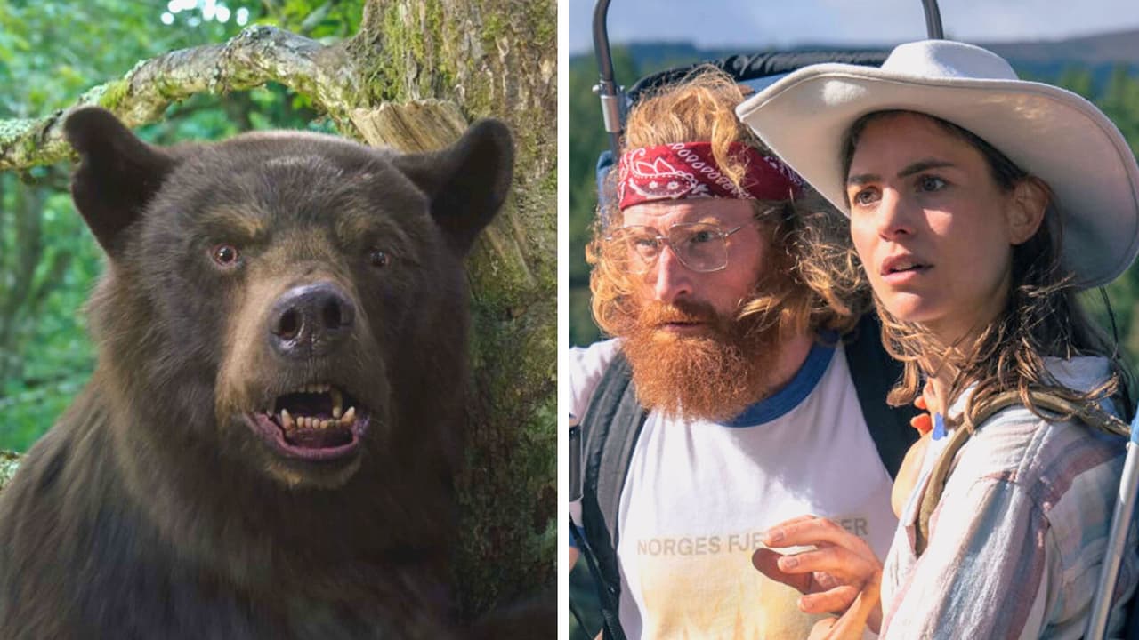 ‘Cocaine Bear’: la triste historia real del oso que inspiró la película (terminó en tragedia)