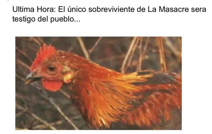 Hay que ser valiente para dar declaraciones en los medios.