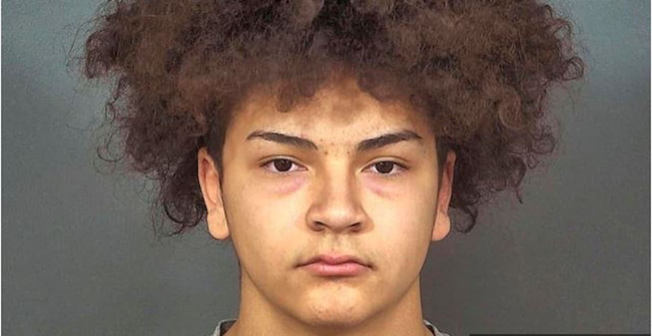 Un adolescente de 17 años se declaró culpable por la muerte de su novia embarazada