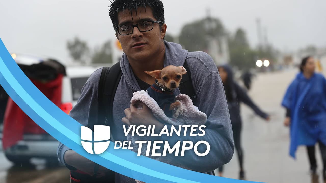 Se acabó el tiempo cálido: Llega un nuevo frente frío esta semana a Houston