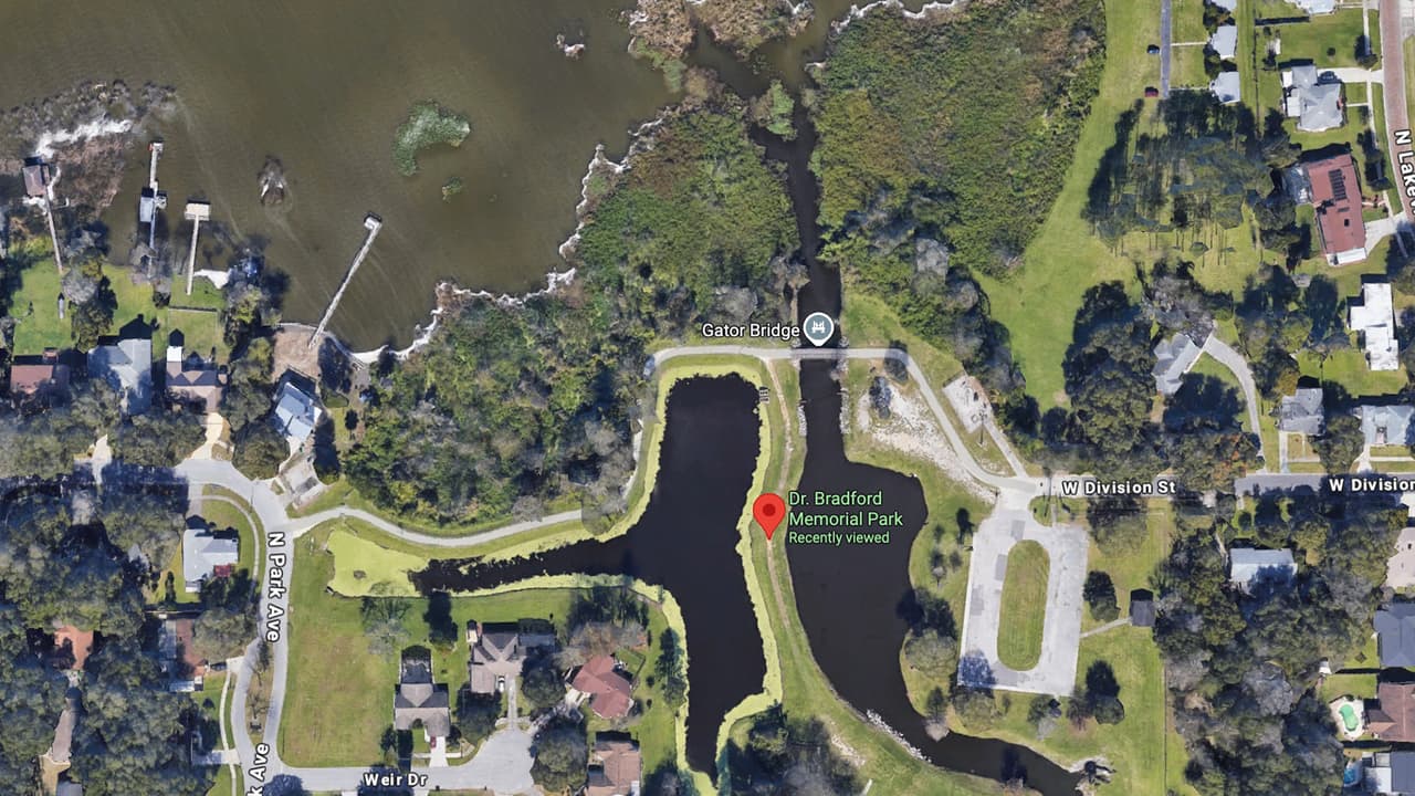 Un caimán de casi 12 pies mató a Steven Hamilton, de 71 años, mientras pescaba en Dr. Bradford Memorial Park, en Winter Garden, Florida.