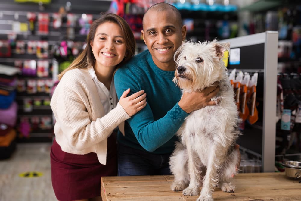 Alguien de alta sensibilidad que ame a los demás, tenga compasión por los animales, los niños, los ancianos. Que pueda estar contigo en tu casa el fin de semana sin tener que salir, disfrutando del hogar cocinando, escuchando música. Rebuscas a quienes no quieren estar en el hogar o son violentos o agresivos.