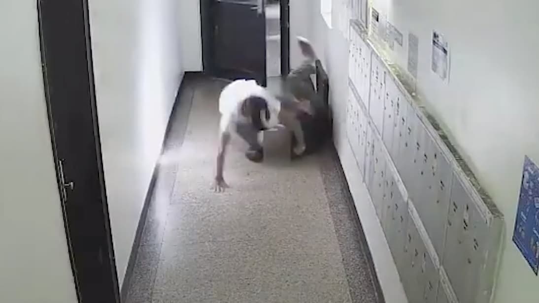 Buscan a sujeto que asaltó a hombre de 64 años para robarle la cadena en El Bronx