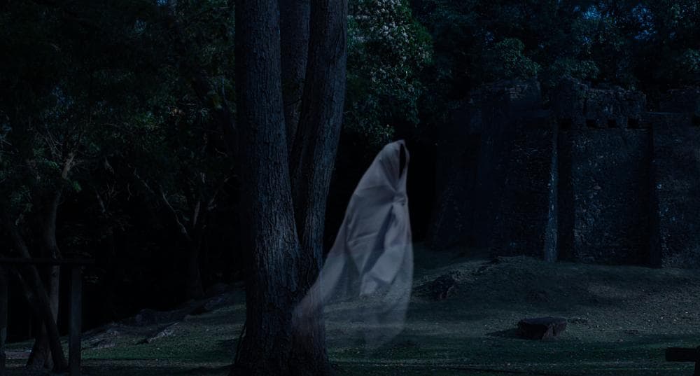 Las sombras tienden a aparecer cuando falta poco para que alguien muera, haciendo esto con el fin de nutrirse de su temor a la muerte y de su agonía (si es un enfermo); o incluso, cuando dicho temor no existe, aparecen para sembrarlo en sus últimos días.