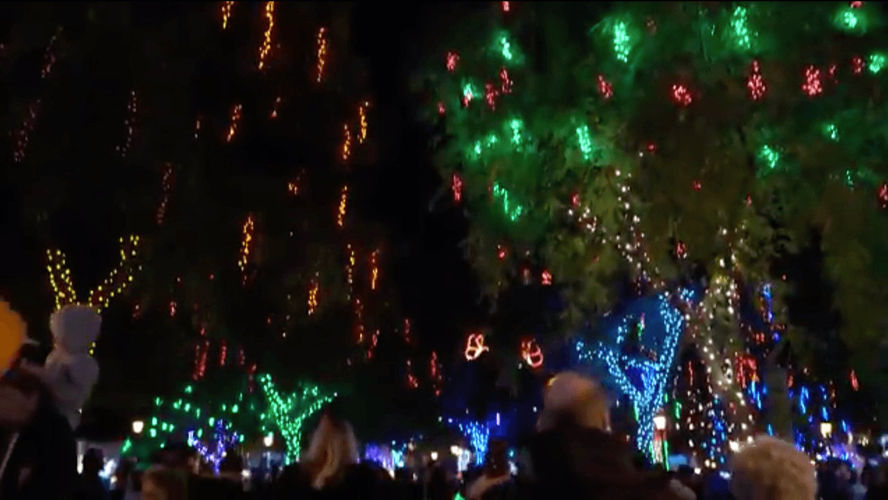 Las luces estarán encendidas desde las 5 pm hasta las 10 pm a partir del 25 de noviembre hasta el 2 de enero del 2021.
<br>