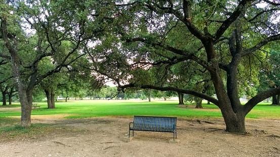 Estos son los parques reabiertos en el condado Travis a partir de este 7 de julio