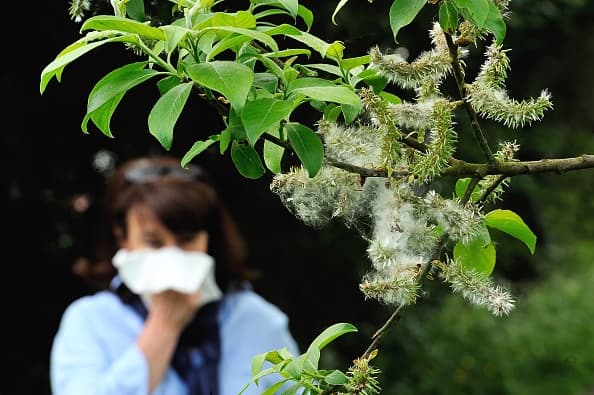 Este medicamento para las alergias durante esta temporada puede ser nocivo para la salud