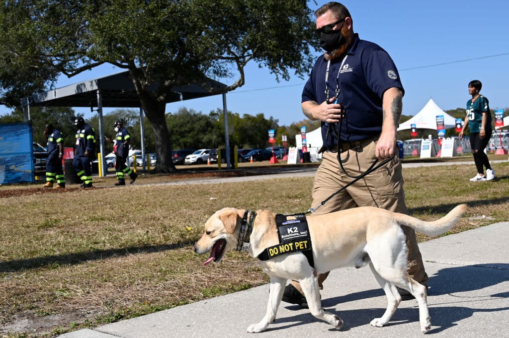 La seguridad es prioridad número uno en el evento deportivo más importante de Estados Unidos.