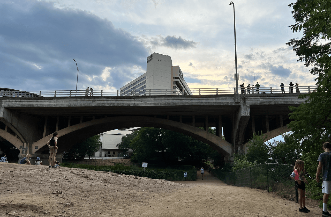 La especie que se puede ver son los Mexican Free-Tailed, que se alimentan de insectos.