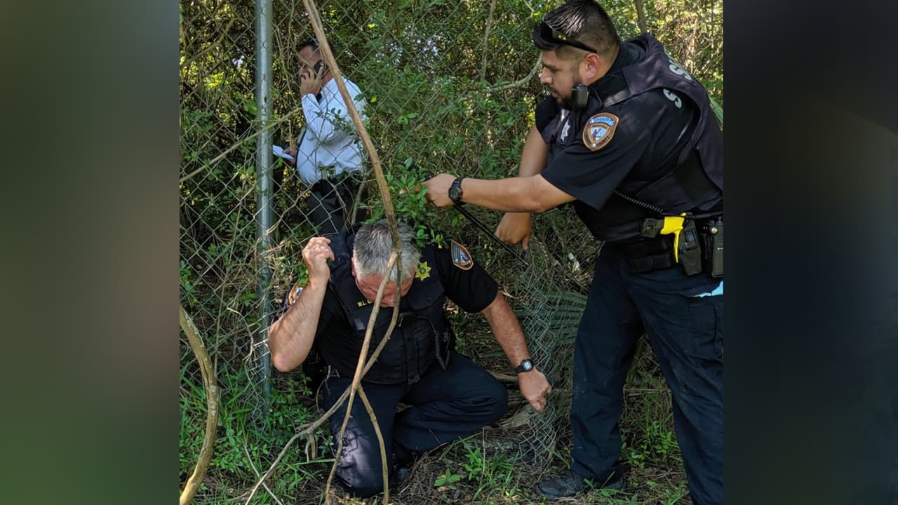 El mismo día del hallazgo, expertos de la oficina del médico forense del condado Harris confirmaron en la escena que el cráneo era de un humano y las autoridades iniciaron una investigación.