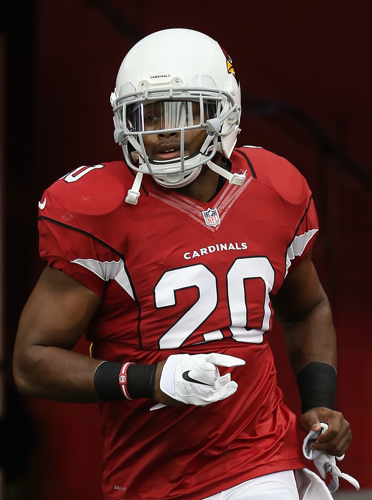 Jonathan Dwyer terminó de forma abrupta su carrera en el 2014 con los Arizona Cardinals luego de ser arrestado por violencia doméstica aunque quedó en libertad luego de pagar fianza.