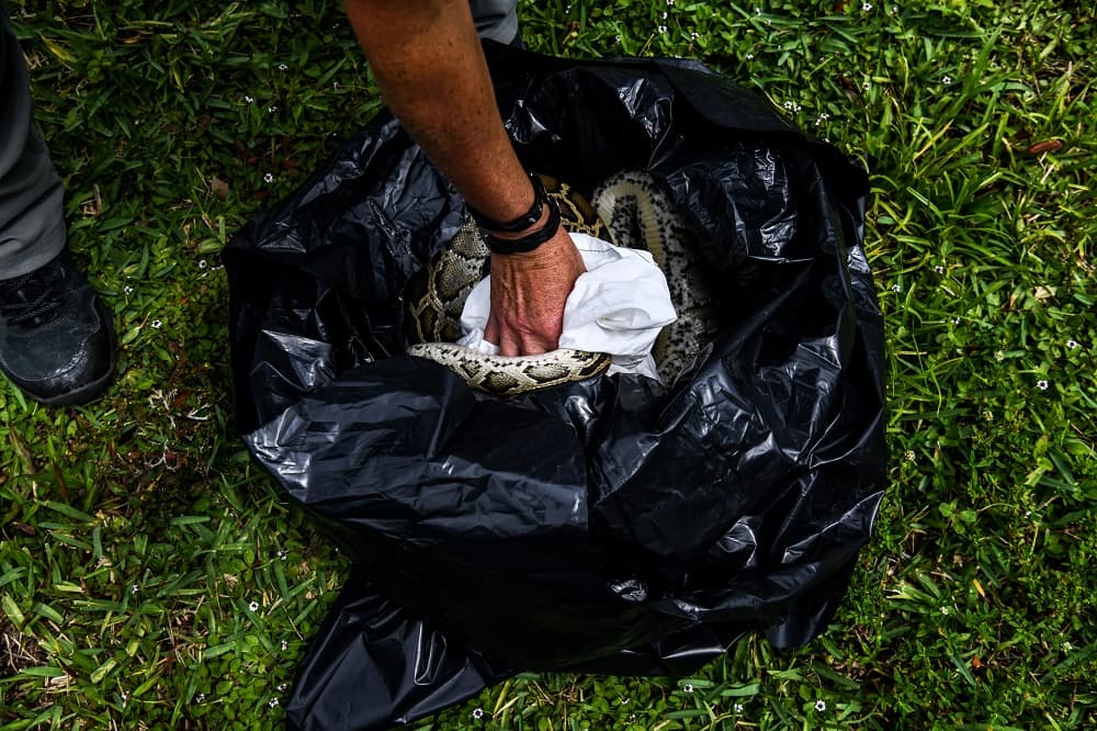 "Es básico pero funciona bastante bien. Se sellan bien y puedes poner un filtro", prosigue.