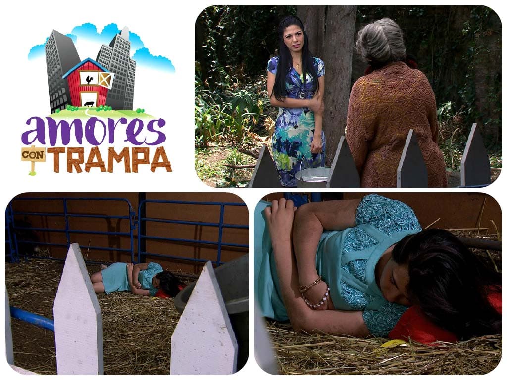 ¡Ayyy Alejandra pasaste toda la noche en casa de los Carmona! ¿Será que prefieres dormir con los animales que con tu mamá?