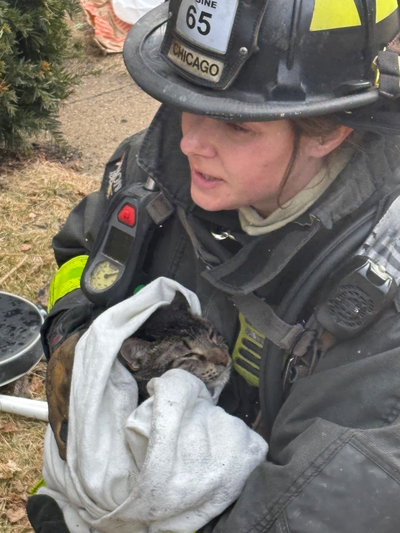 El Departamento de Bomberos de Chicago atendió la emergencia a las 10:30 am en la cuadra 5200 de South Rockwell Street. Durante el operativo de rescate, el personal recuperó al menos 15 gatos del interior.