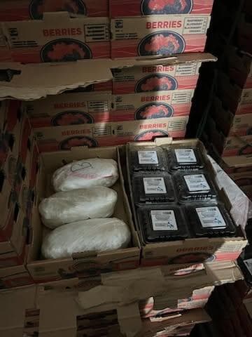 <h3 class="cms-H3-H3"><b>El segundo cargamento: un camión abandonado en Gainesville</b></h3>
<br>
<br>Mientras eso ocurría en Atlanta,
<b>otro equipo de agentes seguía un segundo camión desde el mismo almacén</b>. El vehículo se detuvo
<b>en una gasolinera en Gainesville.</b>
<br>
<br>De acuerdo con el expediente,
<b>Gerardo Solorio-Alvarado, de 44 años, llegó al lugar, recogió al conductor y salieron juntos. </b>
<br>
<br>Luego de que un perro K9 alertara sobre posible presencia de narcóticos,
<b>los agentes revisaron el vehículo y hallaron otras 661 libras de metanfetamina, también escondidas entre cajas de moras.</b>
<br>
<br>Solorio-Alvarado
<b> fue detenido más tarde en su vivienda en Gainesville</b> cuando presuntamente intentó huir por la parte trasera. Dentro de la casa, l
<b>os agentes encontraron llaves correspondientes al camión abandonado.</b>
<br>