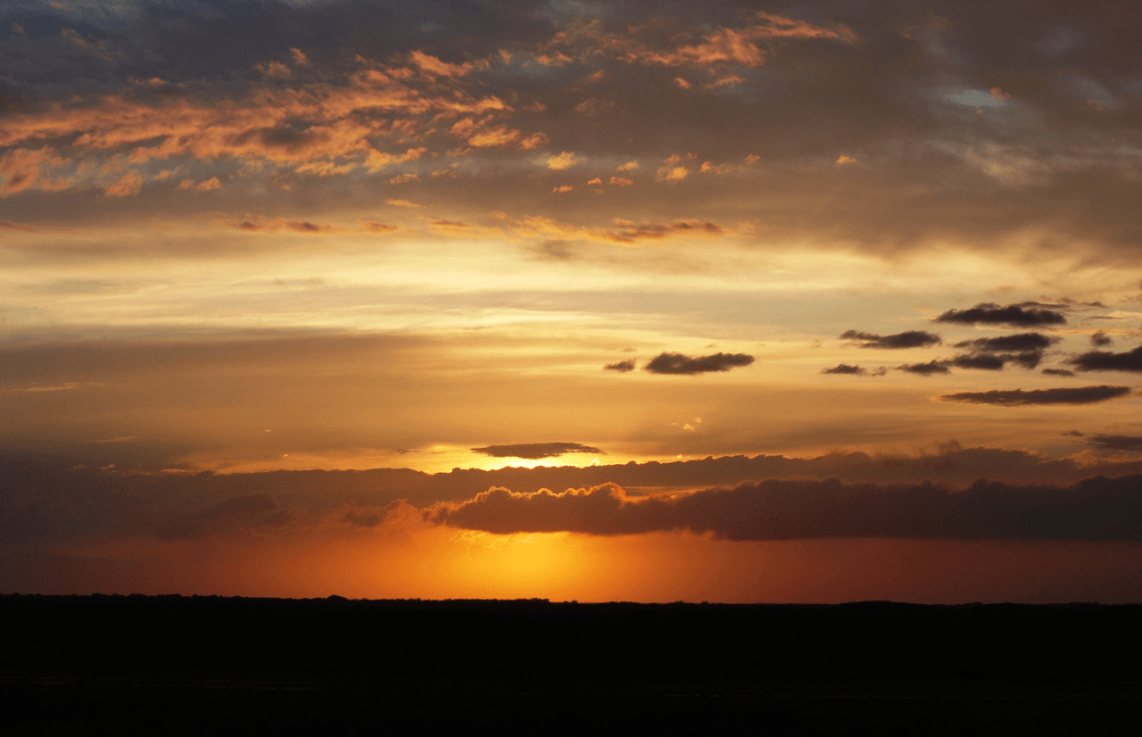 <b>Isla del Padre |</b> Padre Island National Seashore separa el Golfo de México de la Laguna Madre, una de las pocas lagunas hipersalinas del mundo. El parque protege 70 millas de costa, dunas, praderas y mareas de viento llenas de vida. Es un lugar de anidación seguro para la tortuga marina de Kemp y un refugio para más de 380 especies de aves. También tiene una rica historia, incluidos los naufragios españoles de 1554.