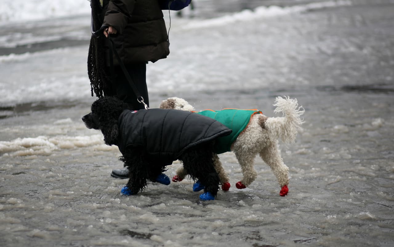 El aguanieve es un tipo de precipitación en el que se da la lluvia y la nieve a la vez. Parte de la precipitación está congelada y la otra forman gotas de agua. Para que se produzca el agua nieve debe haber ciertas condiciones ambientales muy exactas.