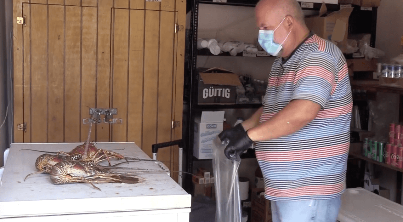 Algunos han tomado medidas de seguridad utilizando guantes y mascarillas.