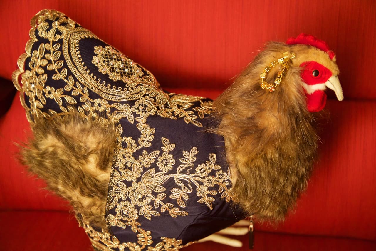 ¿Qué hacía una gallina en la gala de Premio Lo Nuestro?