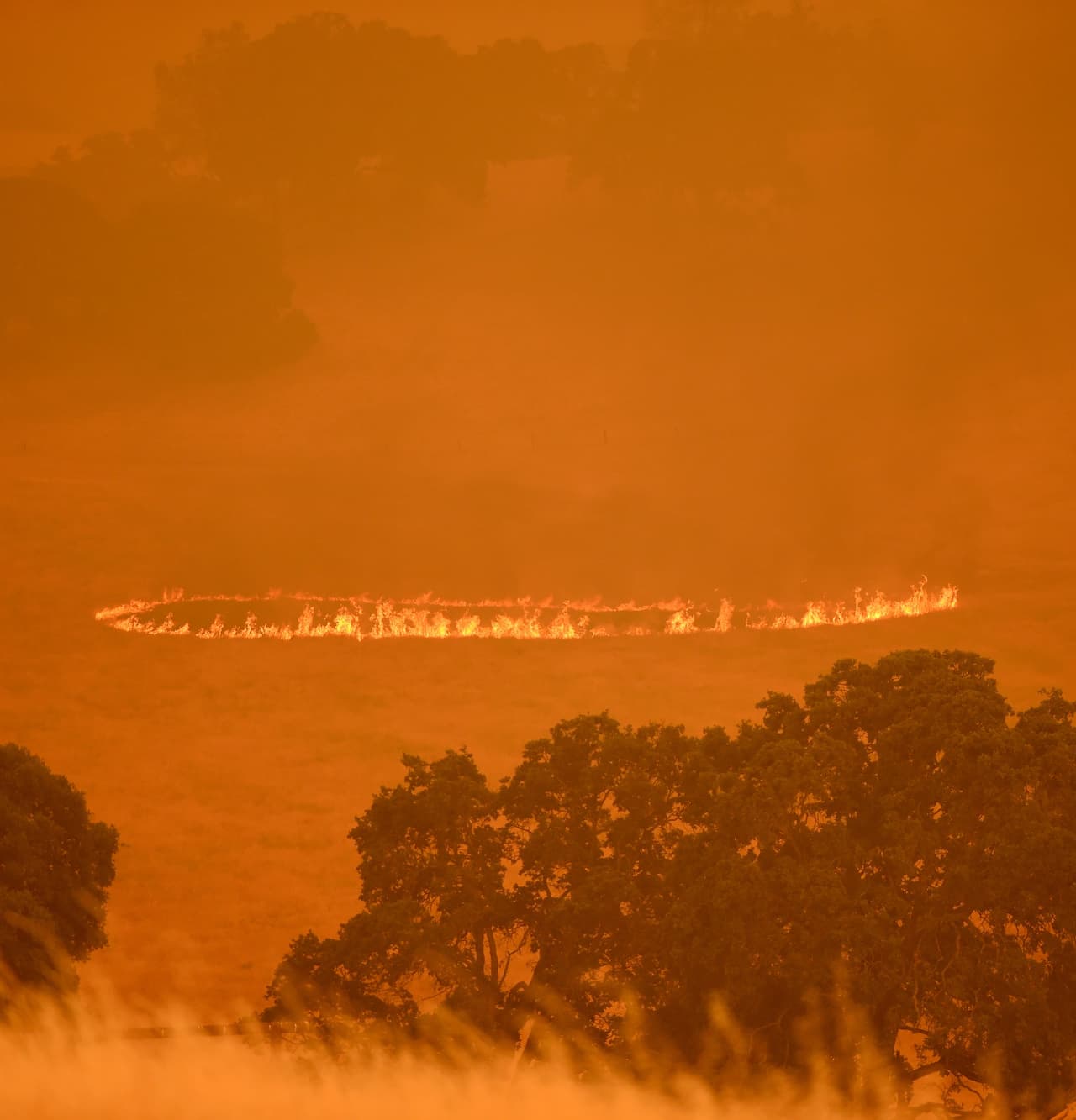 El año pasado los históricos incendios del norte de California calcinaron al menos 245,000 acres, destruyendo 8,400 casas y otras dificaciones; además dejaron 44 muertos.