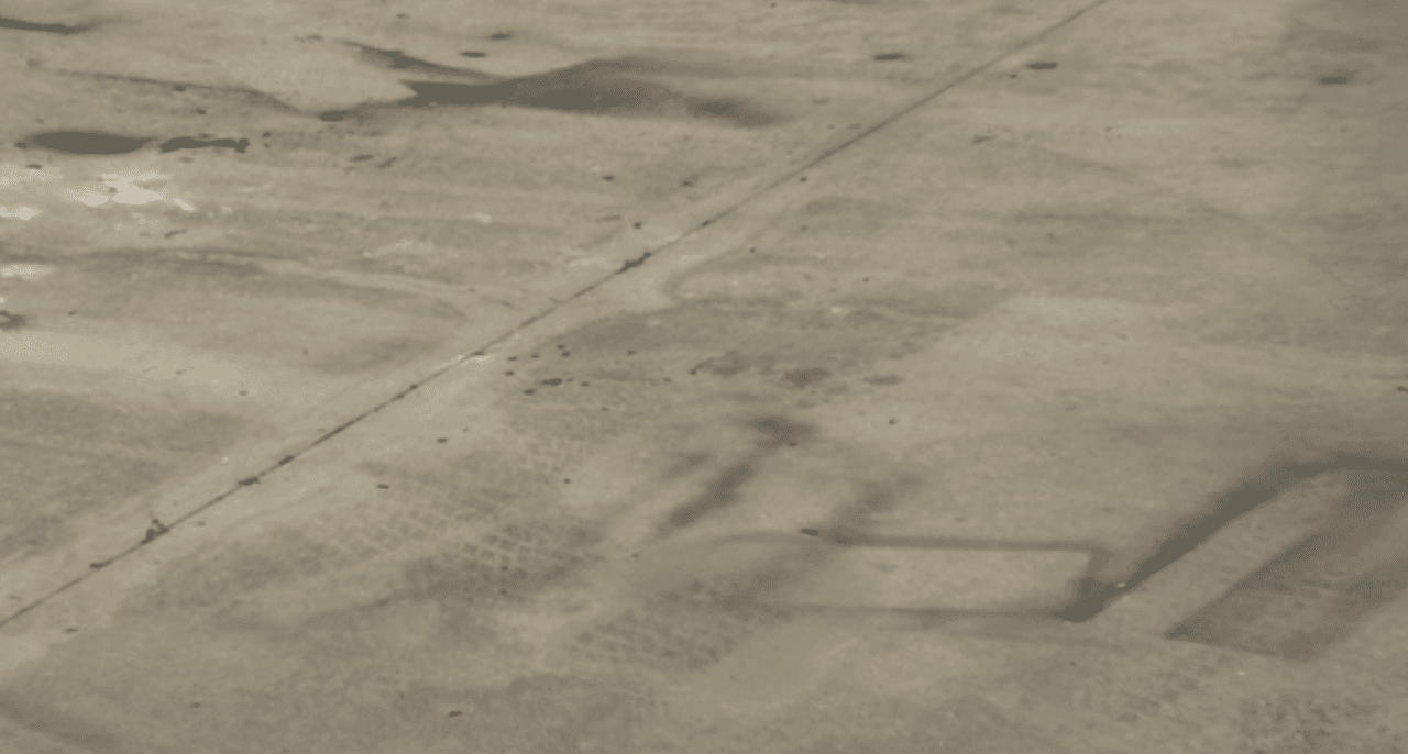 Tuvieron que usar una escoba para abrir la boca del animal y los rastros de sangre quedaron en el piso.
<br>