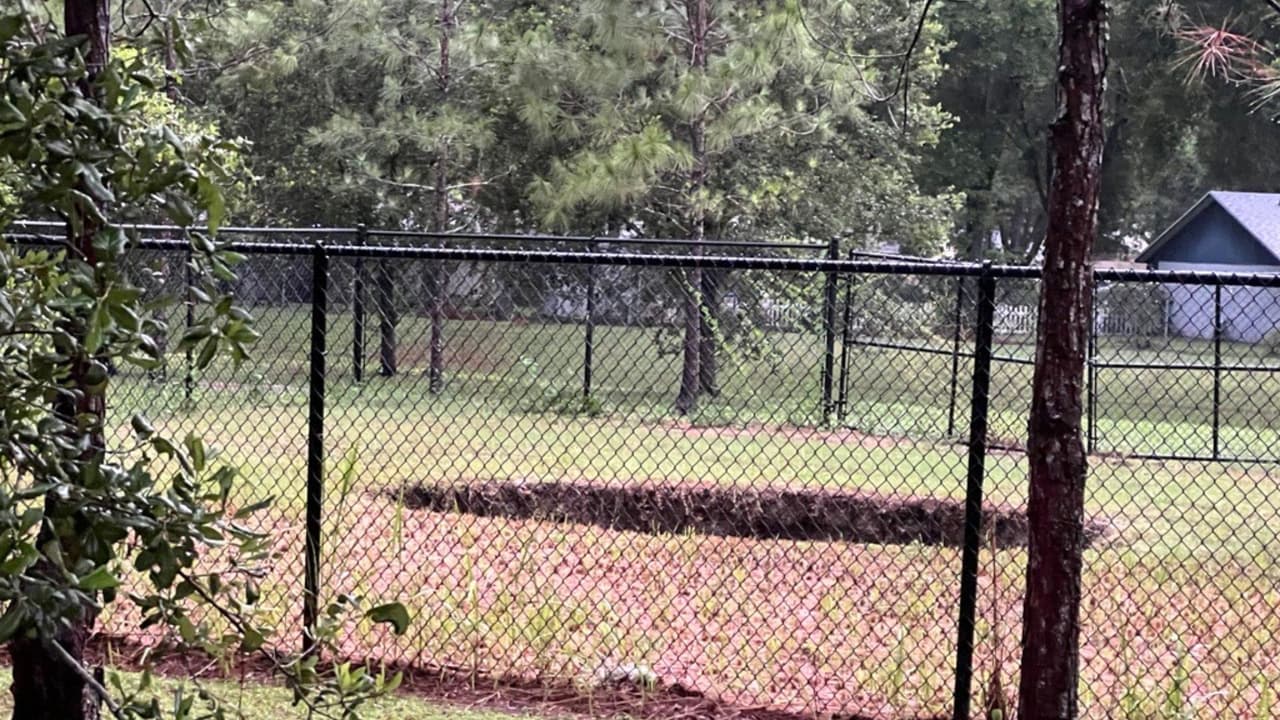 Reaparece un socavón en una propiedad de conservación del condado Hillsborough