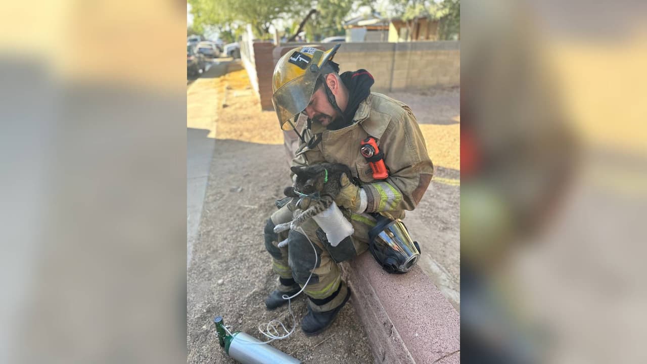 Bomberos tuvieron que suministrar oxígeno a varios animales debido a la exposición al humo.