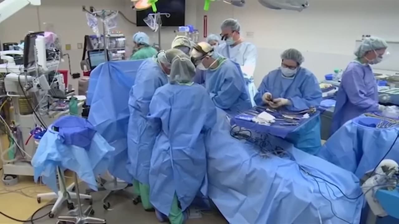 Médicos extranjeros podrían trabajar en Florida en caso de aprobarse este nuevo programa