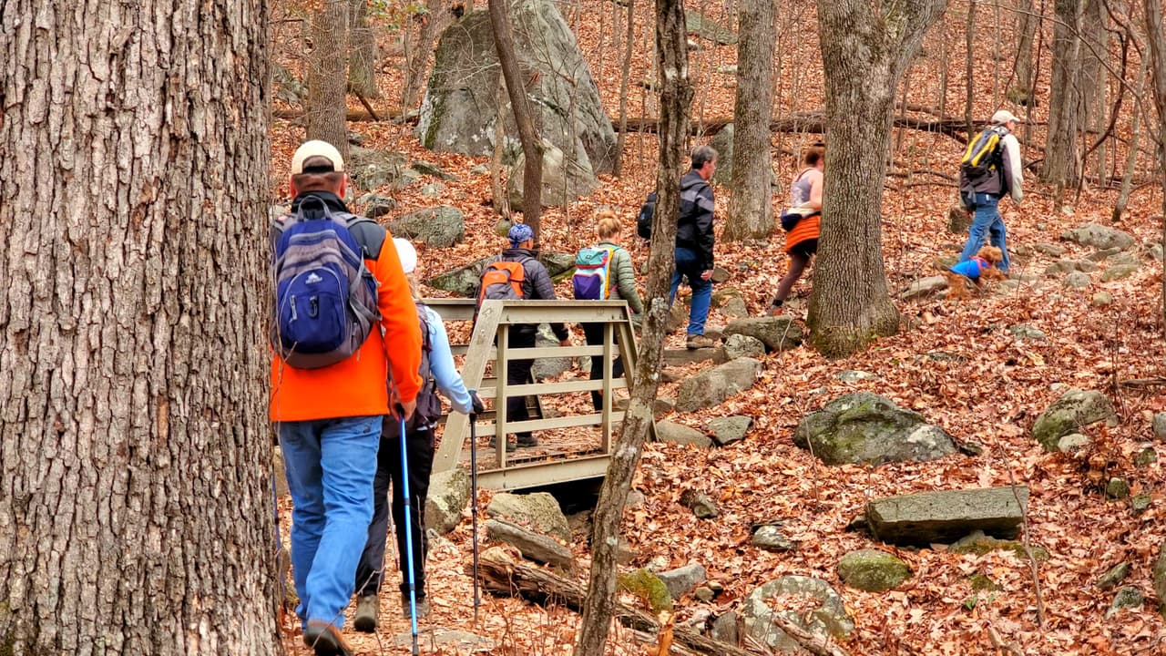 Toma en cuenta que Mount Yonah es muy popular y en cualquier día que lo visites probablemente estará lleno de turistas.
