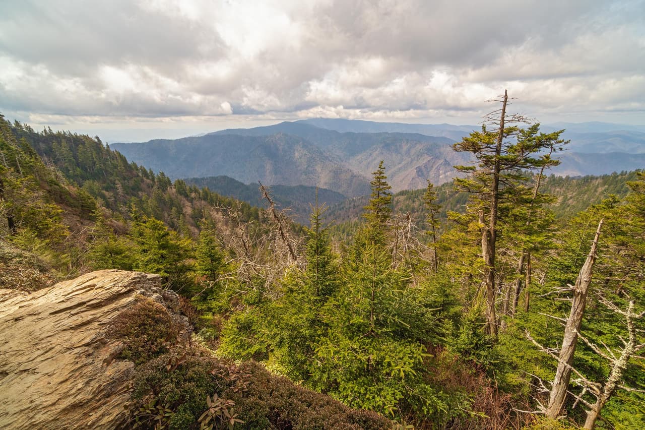 <b><a href="https://www.nps.gov/grsm/index.htm">Great Smoky Mountains National Park</a></b>: De abril a junio en el Parque Nacional Great Smoky Mountains es el momento óptimo para ver flores silvestres a lo largo de las carreteras y senderos.