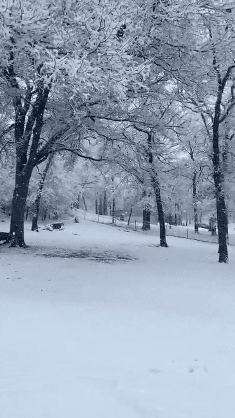 El condado de Bexar ya comenzó a registrar nieve en el norte de la región tras la línea de lluvia y nieve que se movió hacia Kerrville y al sur de Austin en horas tempranas de la mañana.
