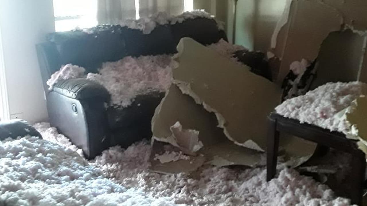 "De nada sirve que le echemos ganas": Pareja sin vivienda tras incendio del apartamento de su vecino