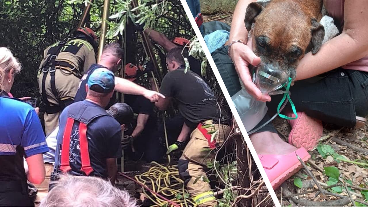 Perro es rescatado de un pozo a 35 pies de profundidad