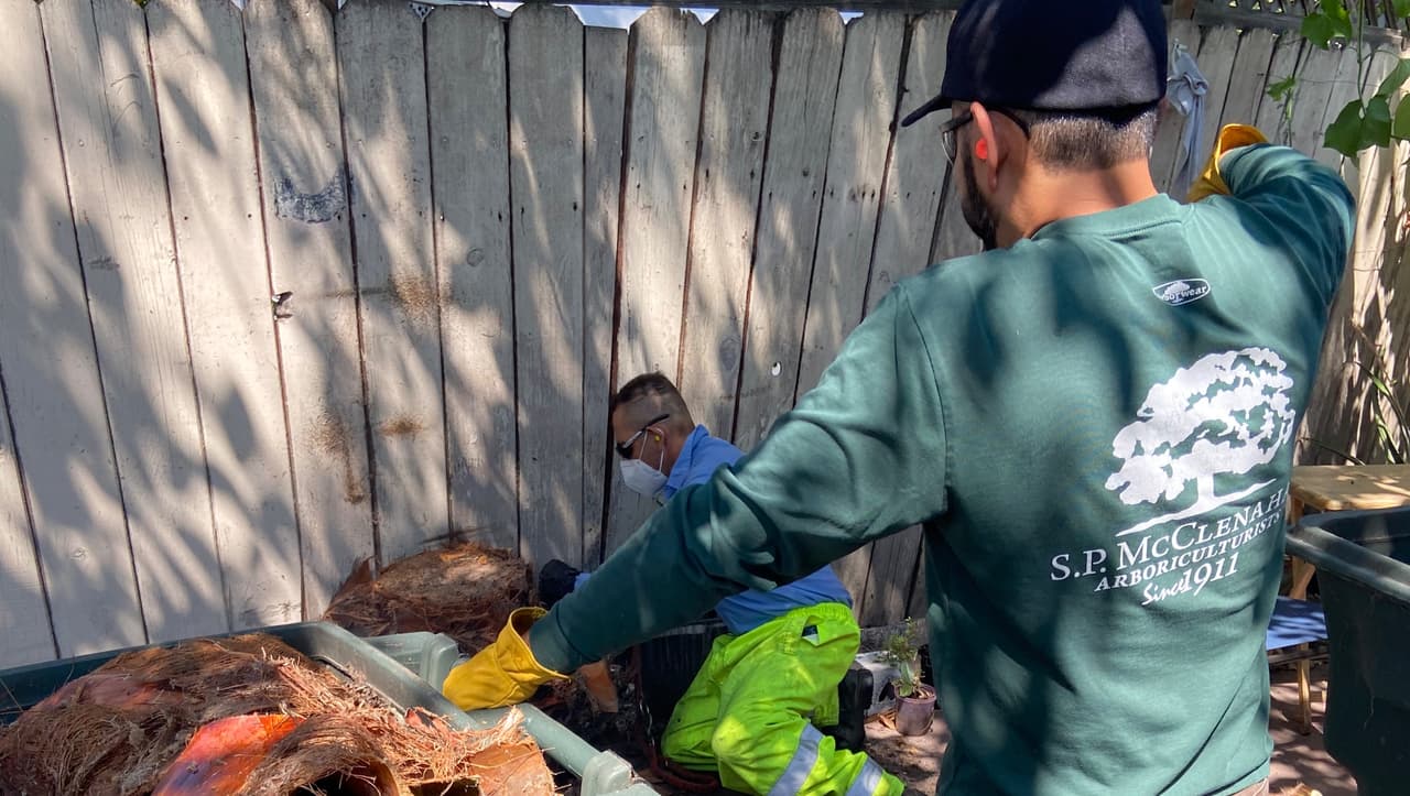 El día de la tragedia Jesús se encontraba trabajando en la cuadra 900 de Peggy Lane, en Menlo Park. La agencia estatal Cal/OSHA señaló que Contreras Benitez era empleado de la compañía FA Bartlett Tree Expert Company.